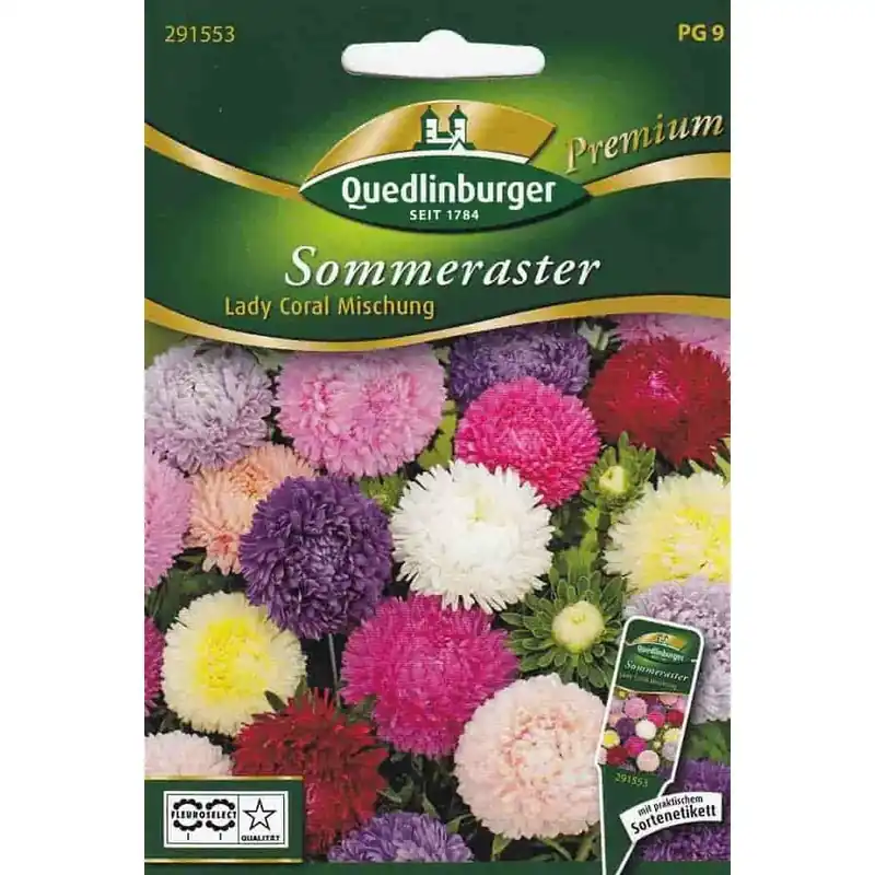 Abverkauf Sommerastern, Lady Coral Mischung